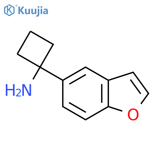 1-(1-benzofuran-5-yl)cyclobutan-1-amine structure