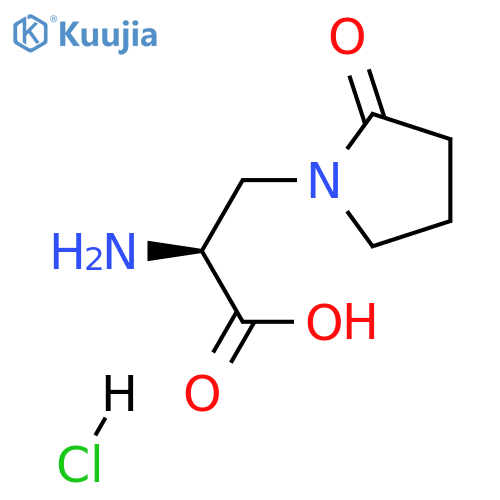 (S)-2-amino-3-(2-oxopyrrolidin-1-yl)propanoic acid hydrochloride structure