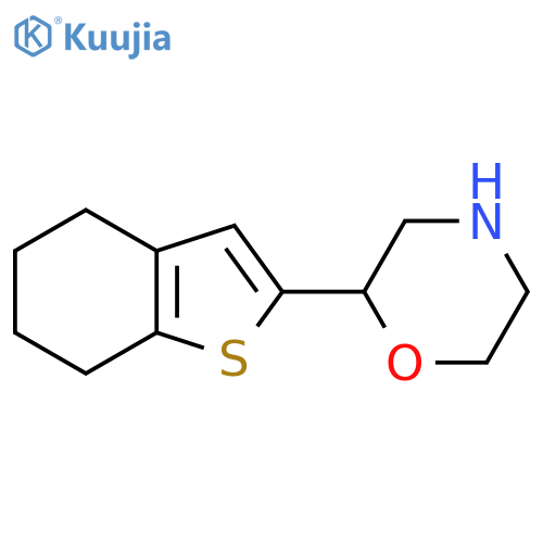 2-(4,5,6,7-tetrahydro-1-benzothiophen-2-yl)morpholine structure