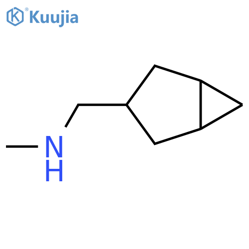 ({bicyclo3.1.0hexan-3-yl}methyl)(methyl)amine structure