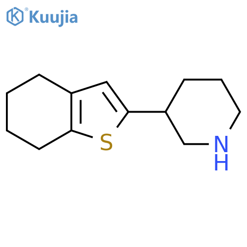 3-(4,5,6,7-tetrahydro-1-benzothiophen-2-yl)piperidine structure
