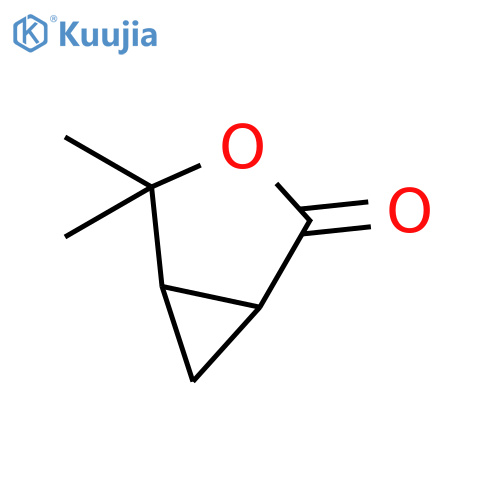 4,4-dimethyl-3-oxabicyclo3.1.0hexan-2-one structure