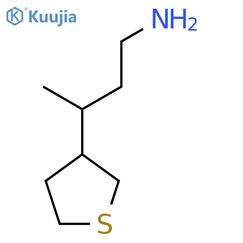 3-(thiolan-3-yl)butan-1-amine structure