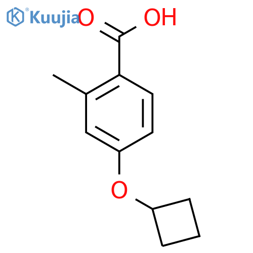 4-Cyclobutoxy-2-methylbenzoic acid structure