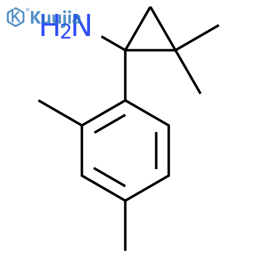 1-(2,4-dimethylphenyl)-2,2-dimethylcyclopropan-1-amine structure