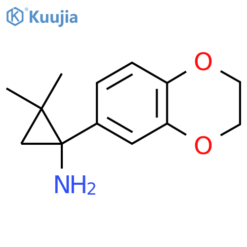 1-(2,3-dihydro-1,4-benzodioxin-6-yl)-2,2-dimethylcyclopropan-1-amine structure