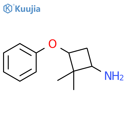2,2-dimethyl-3-phenoxycyclobutan-1-amine structure