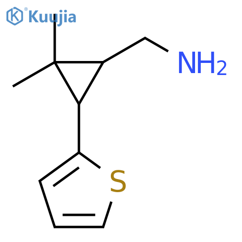 2,2-dimethyl-3-(thiophen-2-yl)cyclopropylmethanamine structure