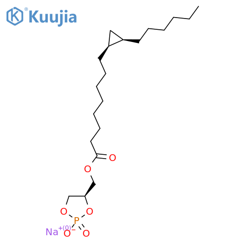PHYLPA 1 structure
