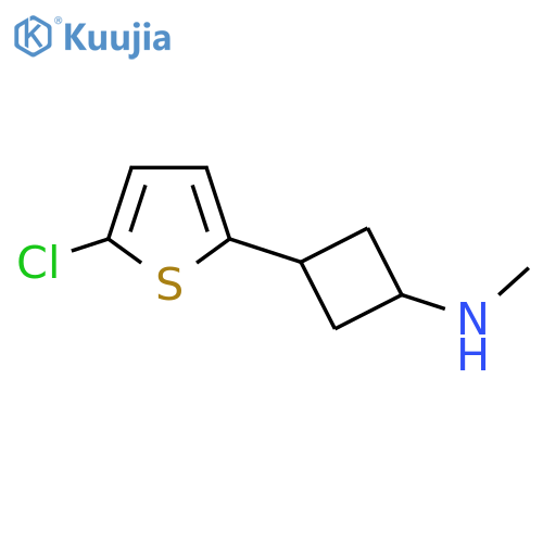 3-(5-chlorothiophen-2-yl)-N-methylcyclobutan-1-amine structure