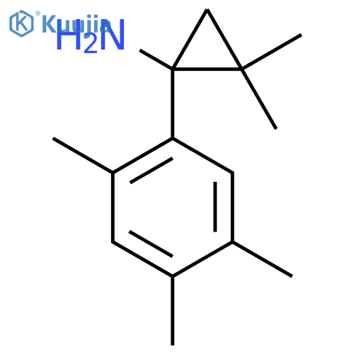 2,2-dimethyl-1-(2,4,5-trimethylphenyl)cyclopropan-1-amine structure
