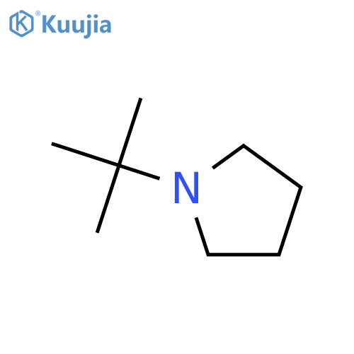 Pyrrolidine,1-(1,1-dimethylethyl)- structure