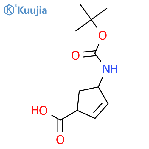 (1S,4R)-4-(tert-butoxycarbonylamino)cyclopent-2-ene-1-carboxylic acid structure