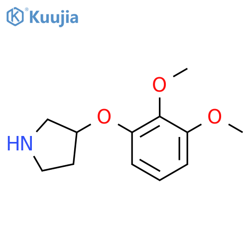 3-(2,3-dimethoxyphenoxy)pyrrolidine structure
