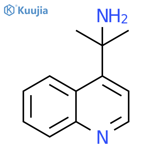 2-(quinolin-4-yl)propan-2-amine structure