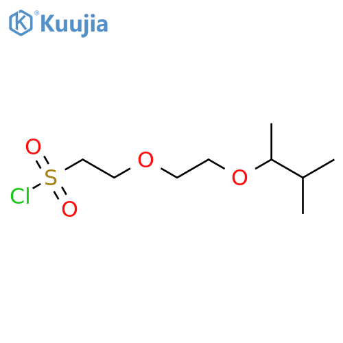 2-{2-(3-methylbutan-2-yl)oxyethoxy}ethane-1-sulfonyl chloride structure