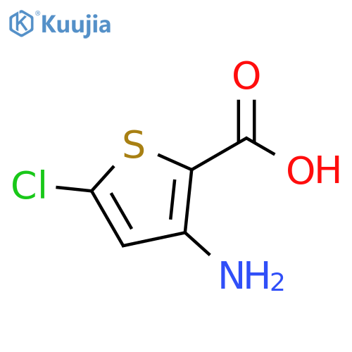 3-amino-5-chlorothiophene-2-carboxylic acid structure