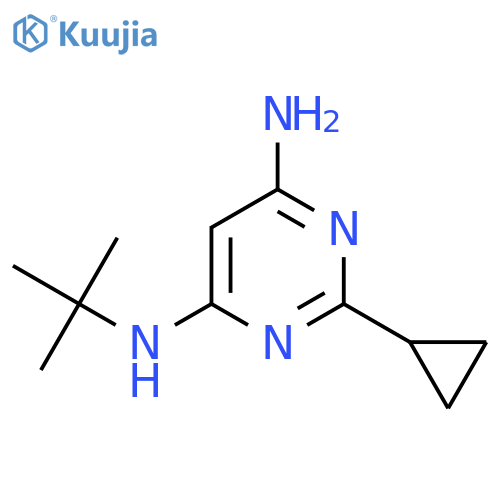 N4-(tert-butyl)-2-cyclopropylpyrimidine-4,6-diamine structure