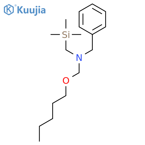 Benzenemethanamine, N-[(pentyloxy)methyl]-N-[(trimethylsilyl)methyl]- structure