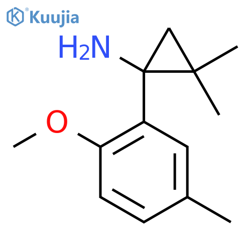 1-(2-methoxy-5-methylphenyl)-2,2-dimethylcyclopropan-1-amine structure