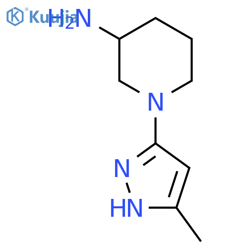 1-(3-methyl-1H-pyrazol-5-yl)piperidin-3-amine structure