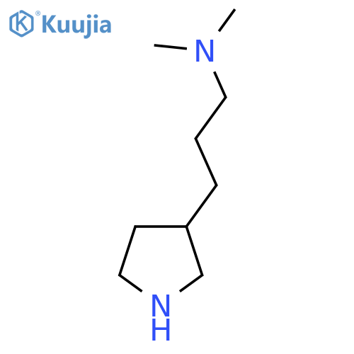 dimethyl3-(pyrrolidin-3-yl)propylamine structure