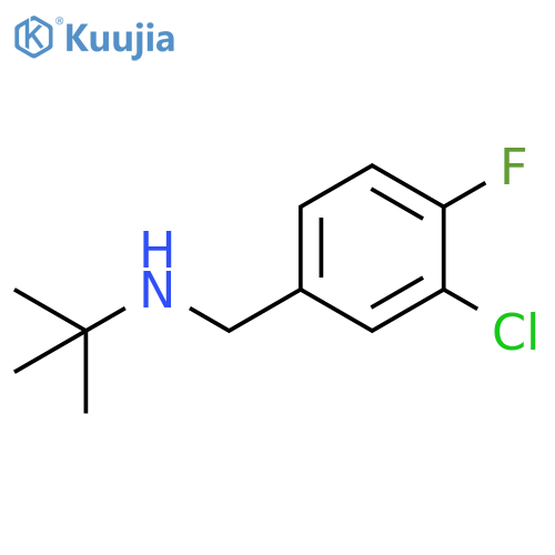 tert-butyl(3-chloro-4-fluorophenyl)methylamine structure