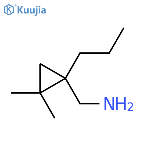 (2,2-dimethyl-1-propylcyclopropyl)methanamine structure