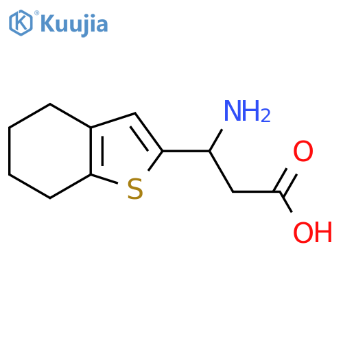 3-amino-3-(4,5,6,7-tetrahydro-1-benzothiophen-2-yl)propanoic acid structure