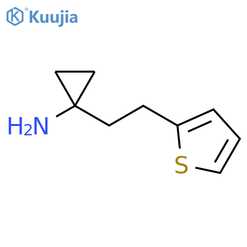 1-2-(thiophen-2-yl)ethylcyclopropan-1-amine structure
