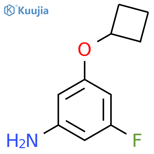 3-Cyclobutoxy-5-fluoroaniline structure