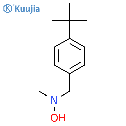 N-(4-tert-butylphenyl)methyl-N-methylhydroxylamine structure