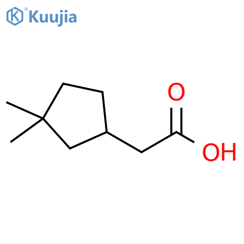 2-(3,3-dimethylcyclopentyl)acetic acid structure