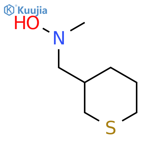 N-methyl-N-(thian-3-yl)methylhydroxylamine structure