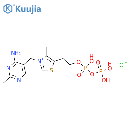 Cocarboxylase structure