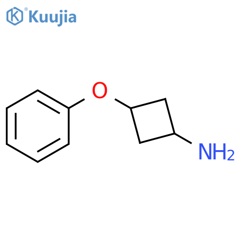 3-phenoxycyclobutanamine structure