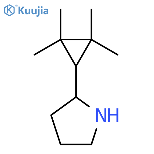 2-(2,2,3,3-tetramethylcyclopropyl)pyrrolidine structure