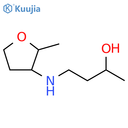 4-(2-methyloxolan-3-yl)aminobutan-2-ol structure