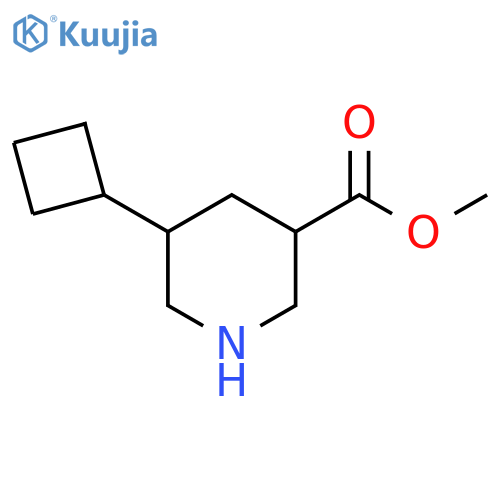 methyl5-cyclobutylpiperidine-3-carboxylate structure