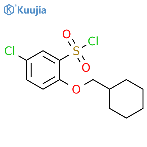 5-chloro-2-(cyclohexylmethoxy)benzene-1-sulfonyl chloride structure