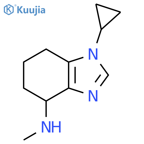 1-cyclopropyl-N-methyl-4,5,6,7-tetrahydro-1H-1,3-benzodiazol-4-amine structure