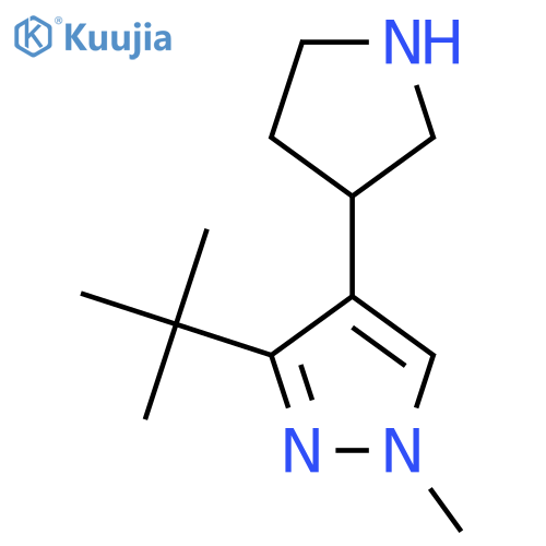3-tert-butyl-1-methyl-4-(pyrrolidin-3-yl)-1H-pyrazole structure