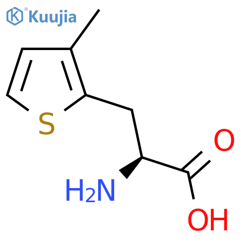 3-(3-Methyl-2-thienyl)alanine structure