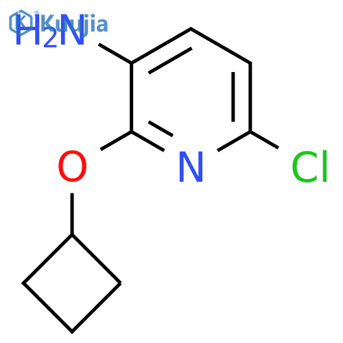 6-chloro-2-cyclobutoxypyridin-3-amine structure