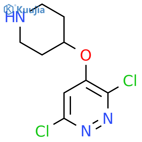 3,6-dichloro-4-(piperidin-4-yloxy)pyridazine structure