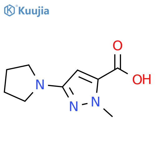 1-methyl-3-(pyrrolidin-1-yl)-1H-pyrazole-5-carboxylic acid structure