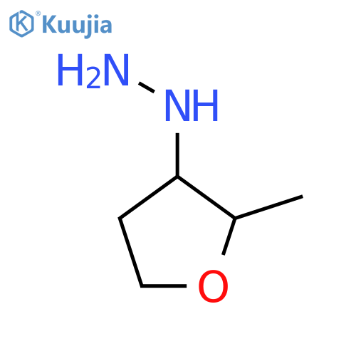 (2-Methyloxolan-3-yl)hydrazine structure