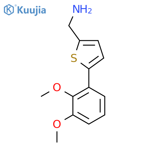 [5-(2,3-Dimethoxyphenyl)thiophen-2-yl]methanamine structure