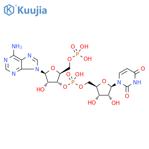 Uridine, 5'-O-phosphono-β-L-adenylyl-(3'→5')- structure