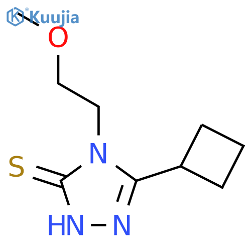 5-cyclobutyl-4-(2-methoxyethyl)-4H-1,2,4-triazole-3-thiol structure